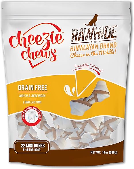 dog kennel layout ideas