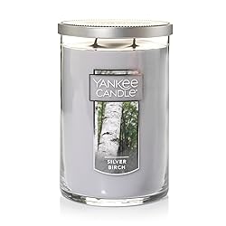 Yankee Candle Silver Birch Scented, Classic 22oz