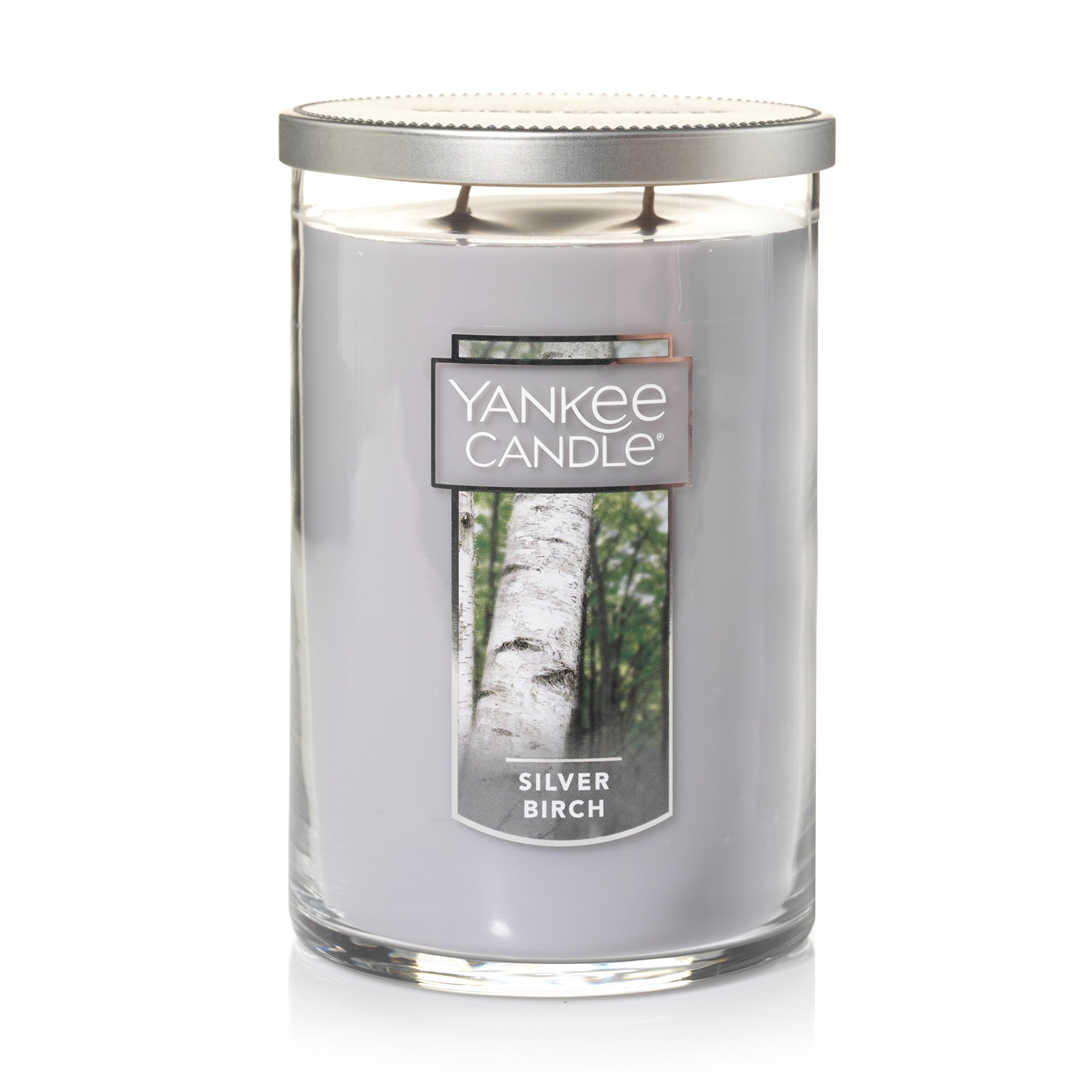 Yankee Candle Silver Birch Scented, Classic 22oz