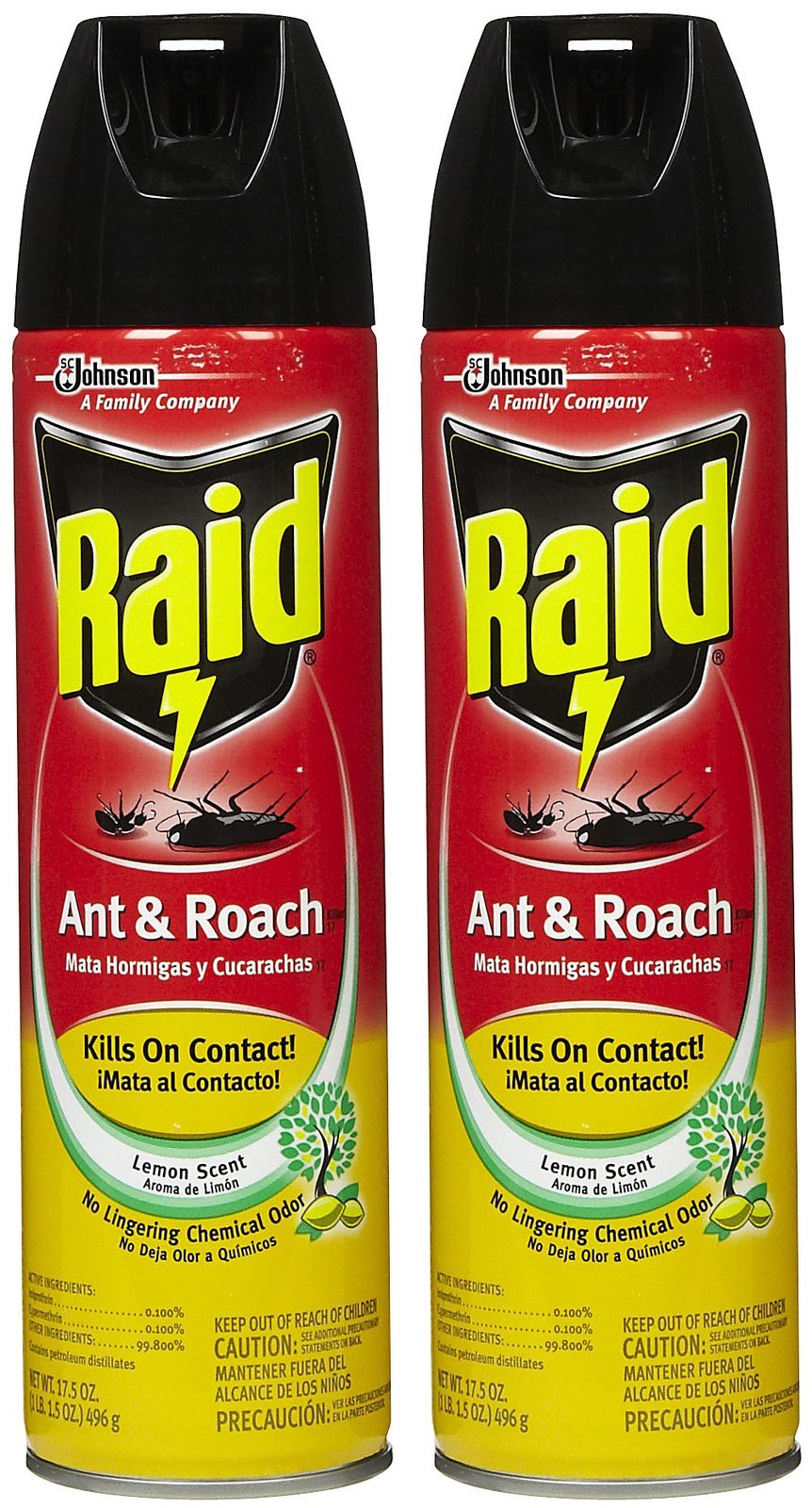 Amazon.com: Raid Max Max Spider & Scorpion Killer - 12 oz - 2 pk