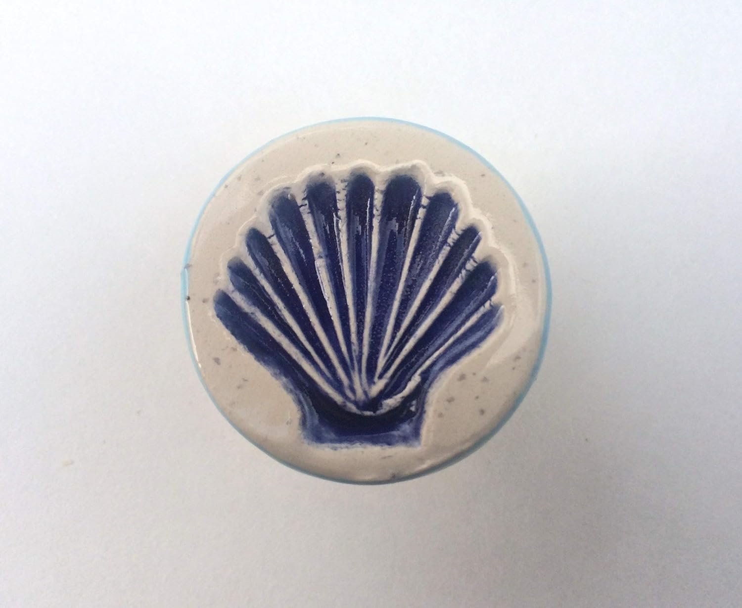 Amazon Com Scallop Seashell Knob Seashell Drawer Pull Nautical