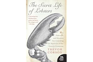The Secret Life of Lobsters: How Fishermen and Scientists Are Unraveling the Mysteries of Our Favorite Crustacean