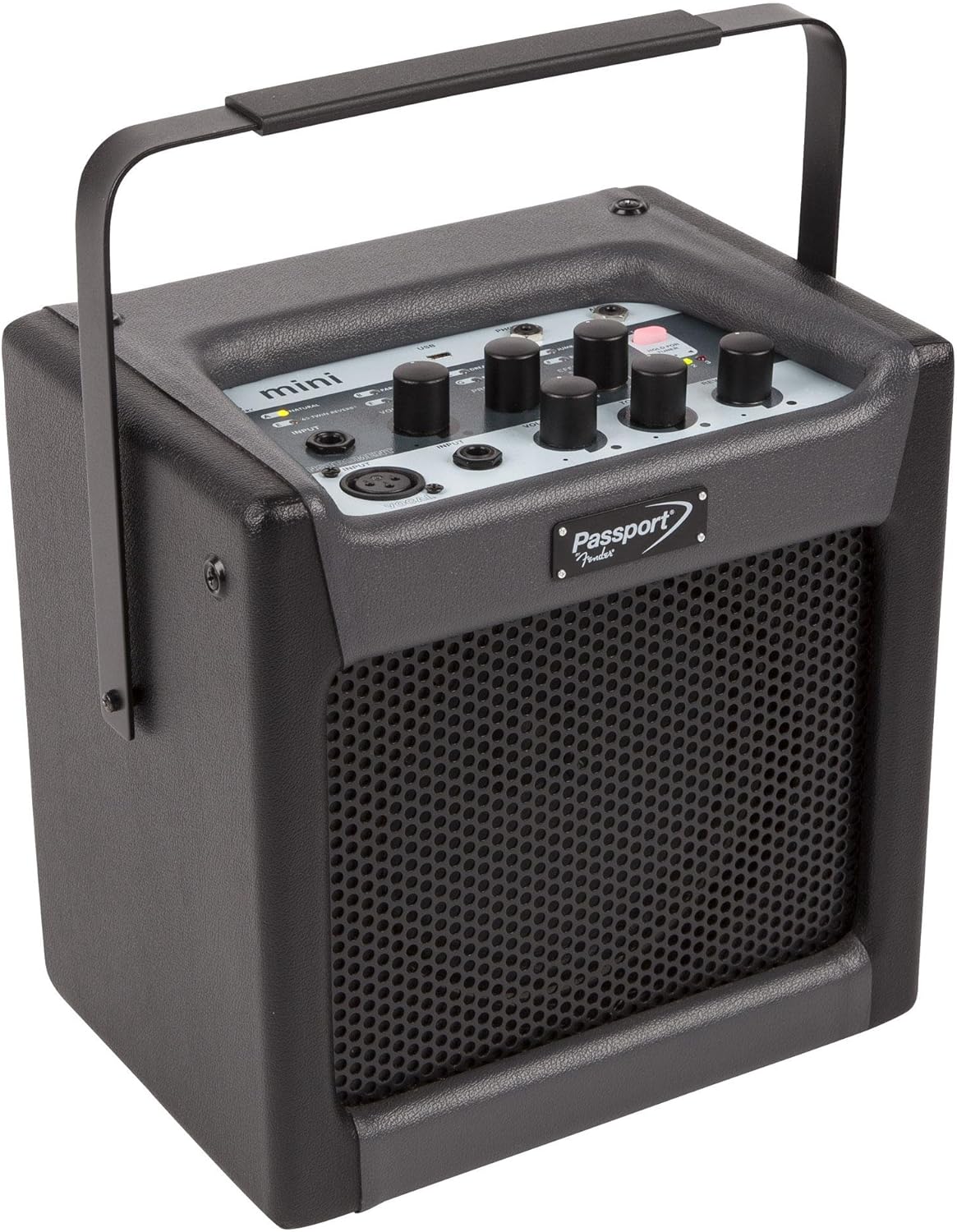fender passport mini
