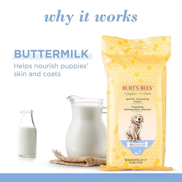 BURT’S BEES FOR PETS GENTLE CLEANSING PUPPY WIPES WITH BUTTERMILK, 98% NATURAL ORIGIN FORMULAS, HYPOALLERGENIC DOG WIPES CLEANING, DOG CLEANING WIPES, DOG WIPES FOR PAWS AND BUTT, 50CT