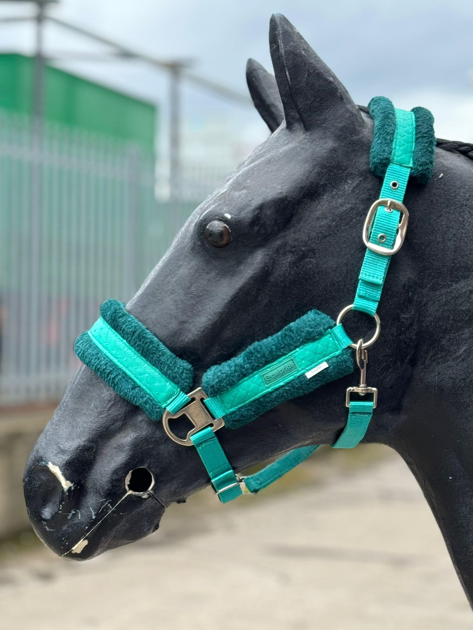 Equipride STAR SHINY HEADCOLLAR WITH LITTLE BLINGY STARS FAUX FUR LINED (Full, Green)