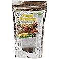 Wild Force Super Plant Protein Sweetened - Raw Vegan Protein Powder Enriched with Exotic Pine Nuts, Chlorella, Durian, & Prickly Pear Cactus - Digestive-Friendly, Nutrient-Rich, Unprocessed - 681g