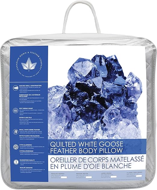 Amazon Com Canadian Down And Feather Quilted White Goose