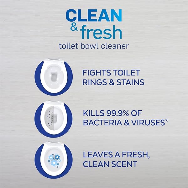 LYSOL POWER & FRESH CLING TOILET BOWL CLEANER VALUE PACK, COUNTRY SCENT, 48 OZ