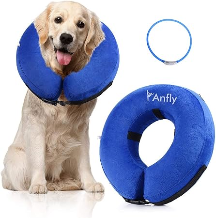 amazon dog cone collar