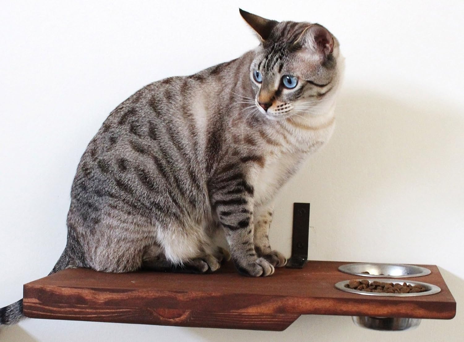 Amazon Com Catastrophicreations Cat Dining Table Handcrafted