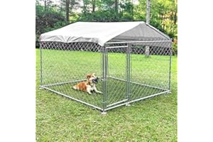 CAULITAR Outdoor Dog Kennel for Large Dogs Outside Dog Runs with Roof, Metal Dog House Playpen with Cover Heavy Duty Waterproof Canopy, Clearance Pet Enclosures for Large Breed Dog, Retriever 6.5x6.5ft 3028