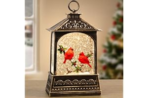 Flldsee Snow Globe Lantern Christmas Decorations Indoor, Musical Snowglobe Light with Timer, USB & Battery Powered Music Box,