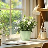 T4U 4 Pack 18cm Self Watering Plant Pots Indoor Green House Planters view 8