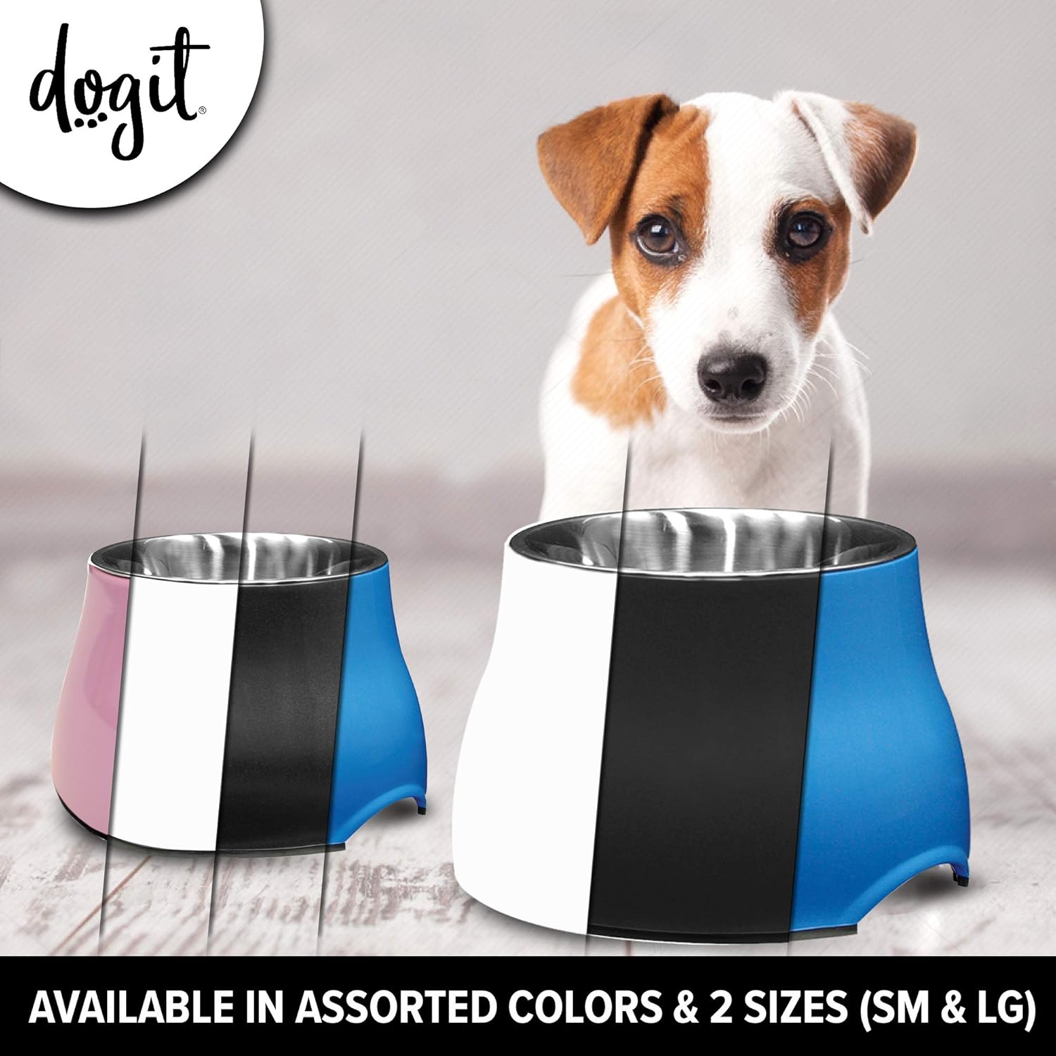 Dogit Elevated Dog Bowl, Stainless Steel Dog Food and Water Bowl for Small Dogs, Blue, 73743: Home & Kitchen