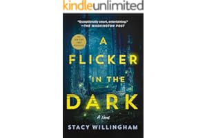 A Flicker in the Dark: A Novel