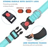 haapaw Reflective Dog Collar Padded Neoprene Adjustable Nylon Collar view 3