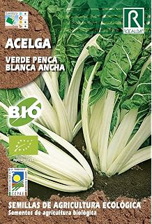 Semillas Fitó 4 - Semillas de Acelga Verde Penca Blanca Ancha ...