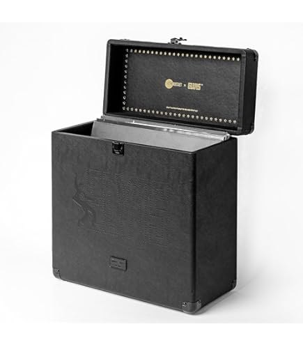 Amazon.com: LP&No.1 Vintage Vinyl Record Storage Case, Vinyl