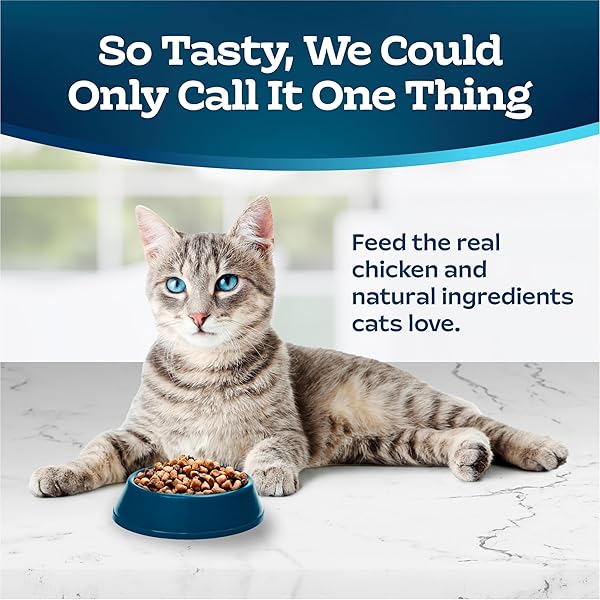BLUE BUFFALO TASTEFULS ADULT 7+ NATURAL DRY CAT FOOD, CHICKEN & BROWN RICE 10LB BAG