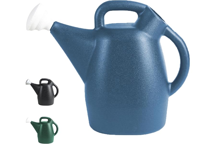 CHAPIN 48010 2-Gallon Watering Can, Drip-Free Spout for Clean Pour | Recycled lightweight tank; ideal for lawn and garden watering, supports fertilizer mixing with balanced handle and long spout