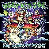 Rad Wings of Destiny