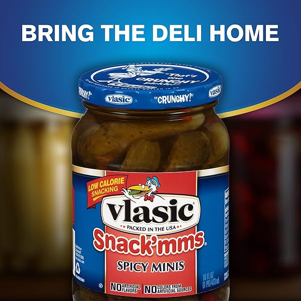 VLASIC SNACK’MMS SPICY MINIS PICKLES, 16 FL OZ
