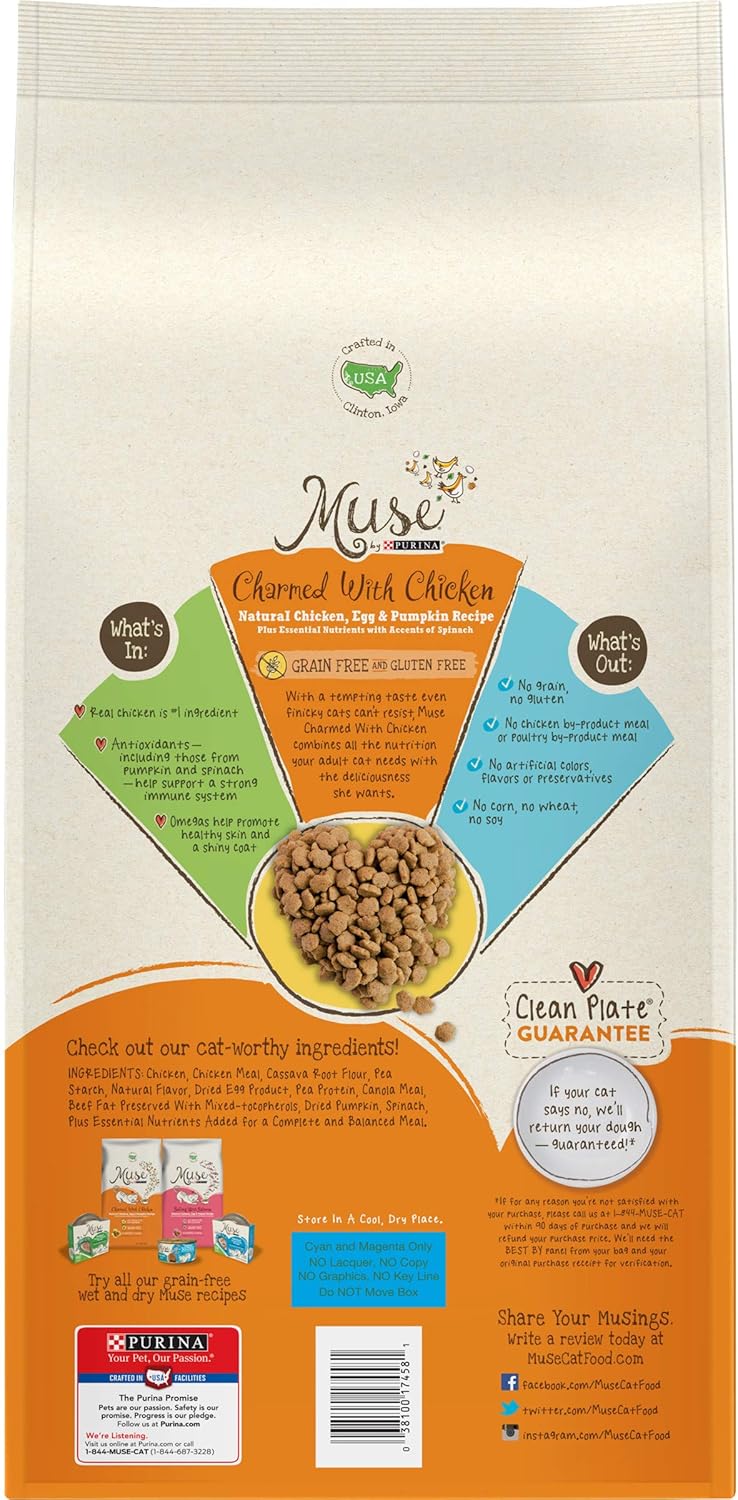 dry cat food with pumpkin