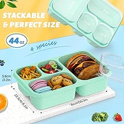 Bento Box for Adults and Snack Containers Set of 4