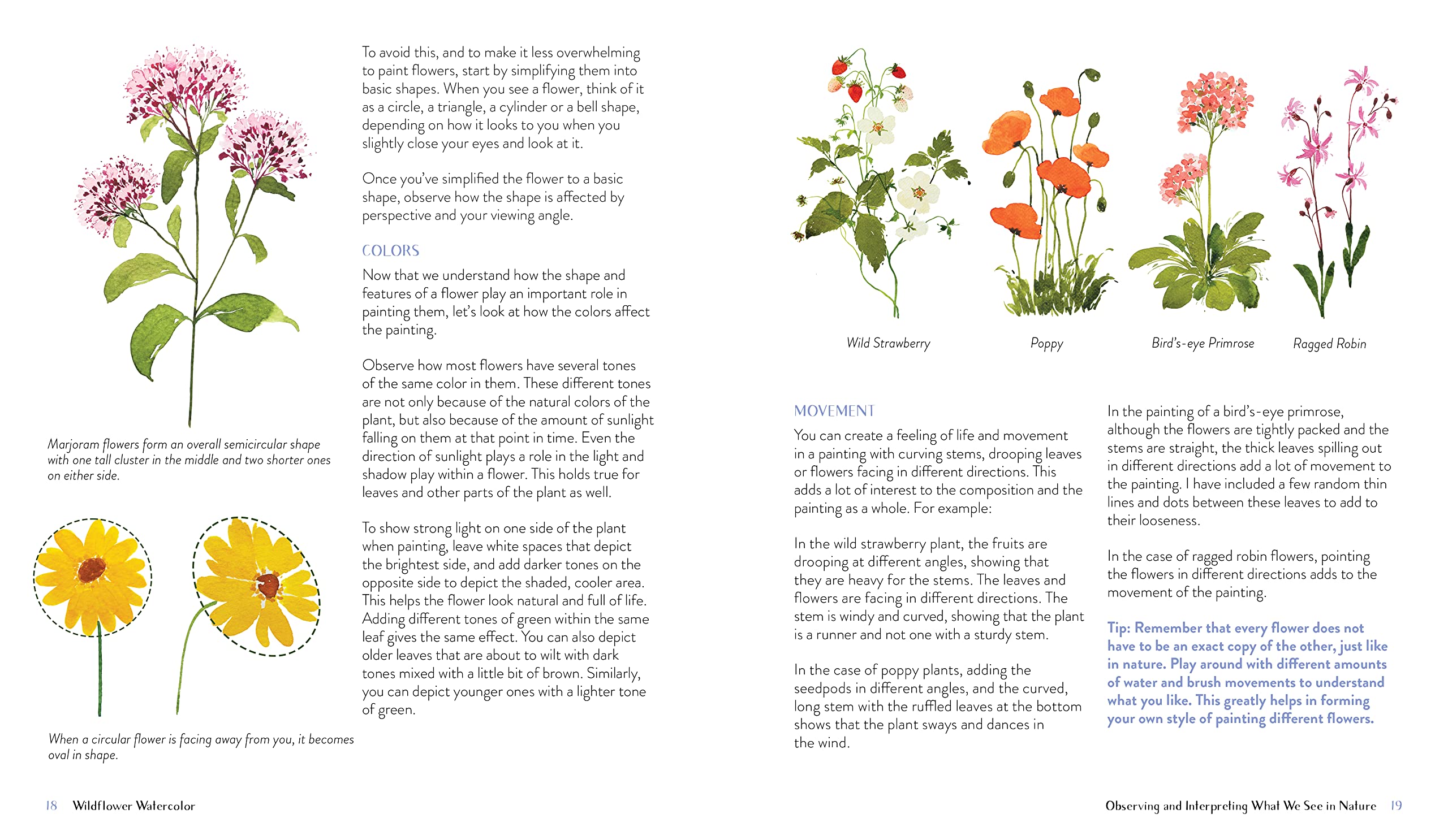 Wildflower Watercolor: The Beginner’s Guide to Painting Beautiful Florals Wildflower Watercolor: The Beginner’s Guide to Painting Beautiful Florals Paperback Kindle Spiral-bound
