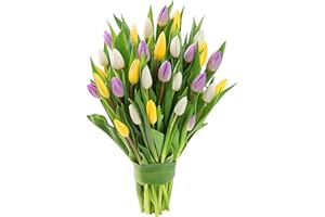 Blooms2Door PRIME NEXT DAY DELIVERY - Mother’s Day Collection - Combo Pack of Fresh Tulips of Purple,Yellow,White 30 Count.Gift for Birthday, Thank You, Valentine, Mother’s Day Fresh Flowers
