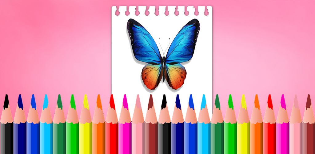 wallpapers Butterfly Drawing Colouring Images butterfly coloring book and drawing book