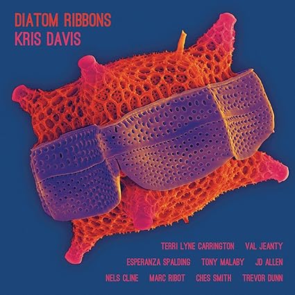 Buy Kris Davis - Diatom Ribbons New or Used via Amazon