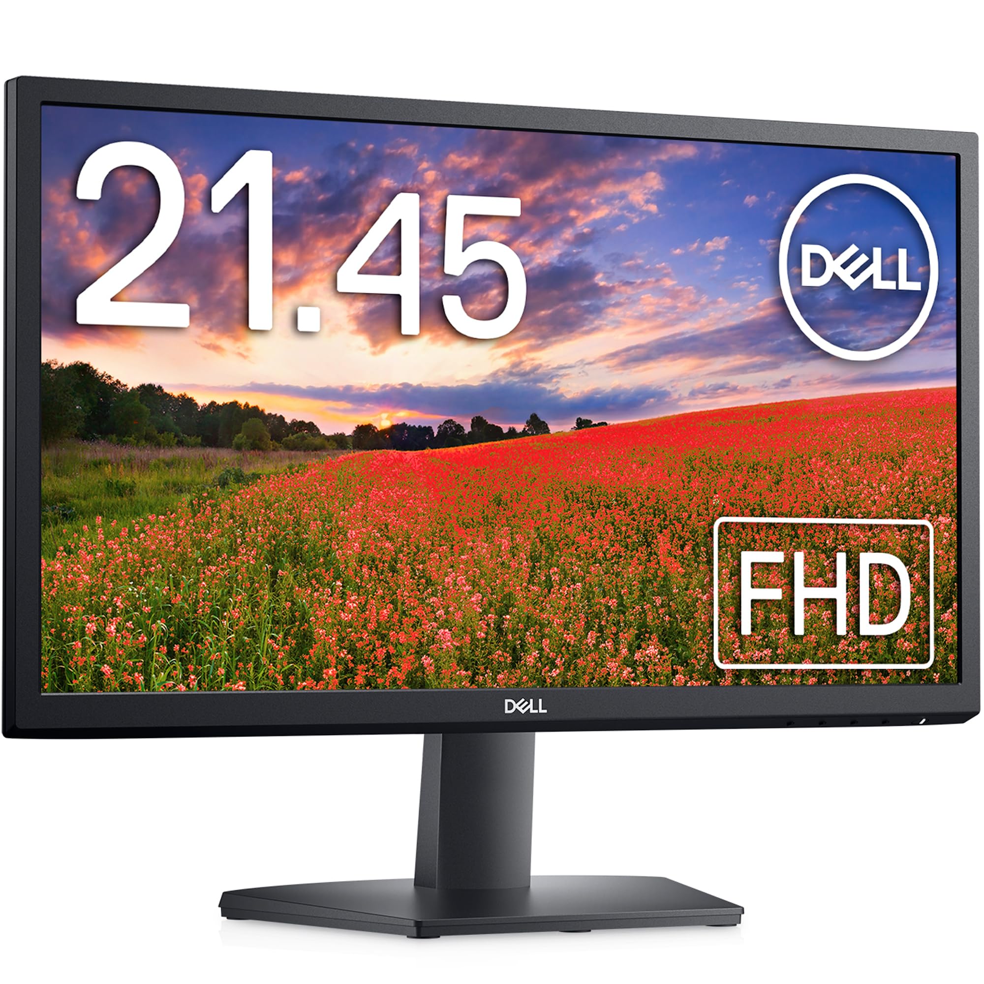 Mua Dell SE2222H 21.45-inch Monitor (Full HD, VA Matte, HDMI, D-Sub15 ...