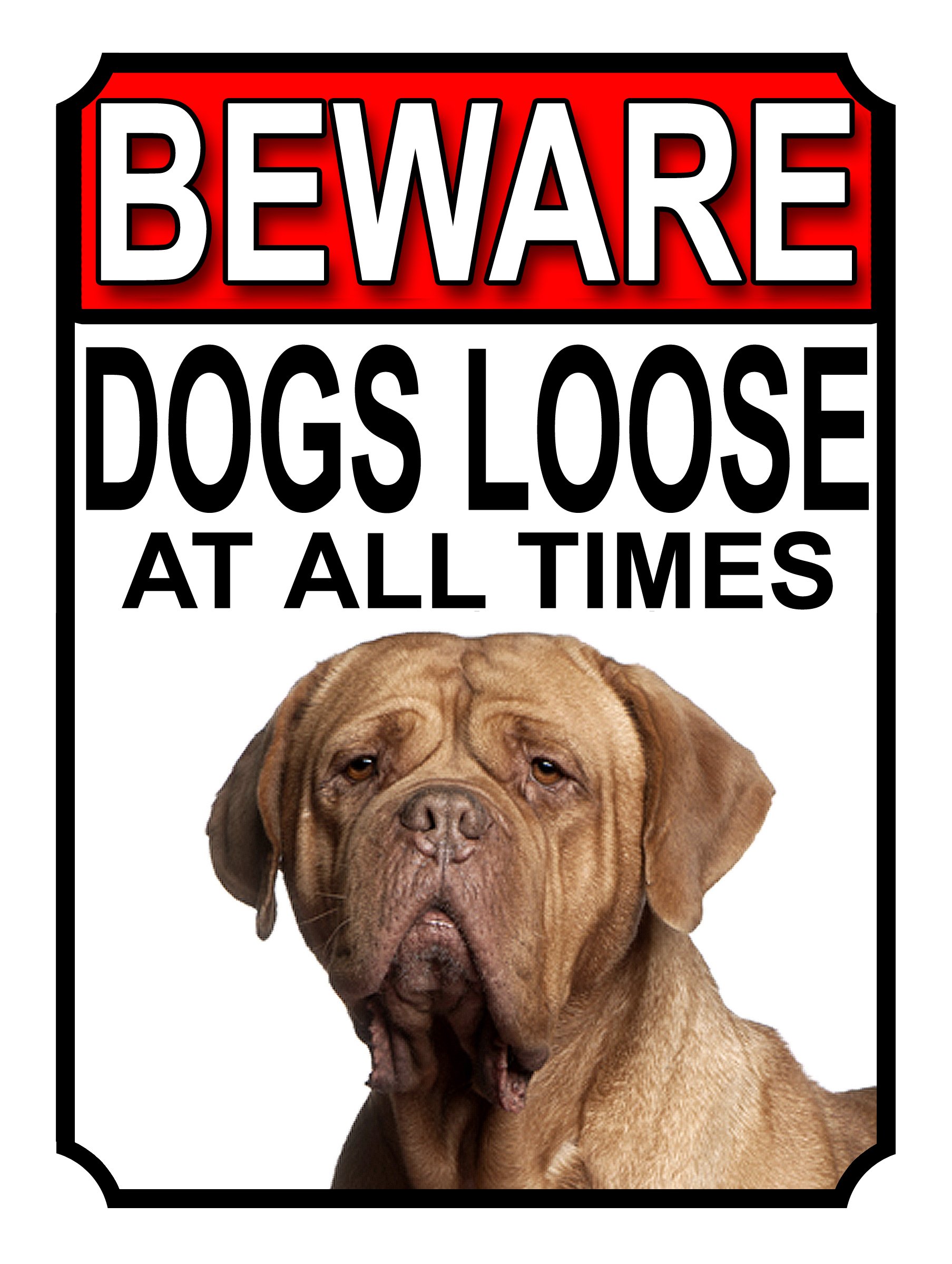 SHAWPRINT BEWARE DOGS LOOSE AT ALL TIMES METAL SIGN DOGUE DE BORDEAUX 200MM X 150MM (996H1)