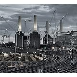 Animals (2018 Remix)