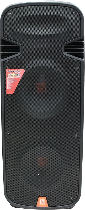 portable speaker 15 inch