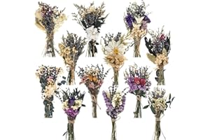 Layhit 12 Pack Boho Dried Flower Bouquet Mini Wedding Handmade Dry Flowers Decor for Vase Crafts DIY Photo Boutonniere for Men Floral Plant for Bridesmaid Gift Birthday Decor(Romantic)