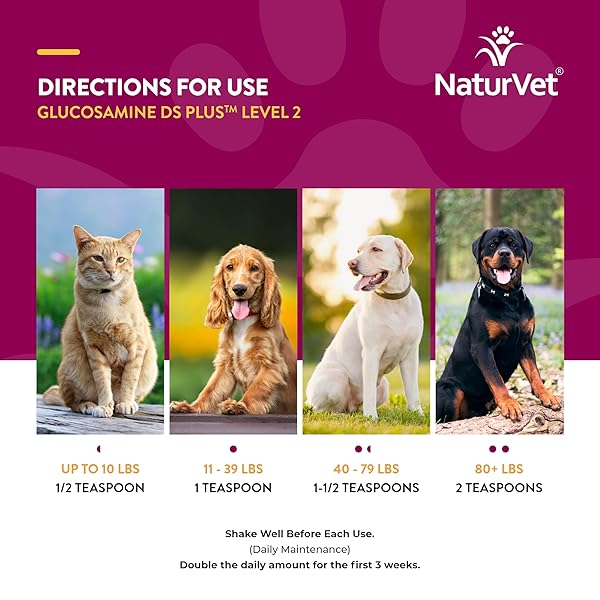 NATURVET GLUCOSAMINE DS PLUS HIP & JOINT SUPPORT LIQUID PET SUPPLEMENT – LEVEL 2 MODERATE CARE FOR DOGS & CATS – INCLUDES GLUCOSAMINE, MSM, CHONDROITIN – 16 OZ