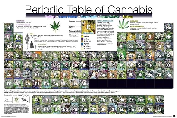 Periodic Table Of Cannabis 24x36 Poster