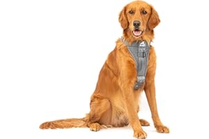 Kurgo Tru-Fit Enhanced Strength Dog Harness - Crash Tested Car Safety Harness for Dogs, No Pull Dog Harness, Includes Pet Safety Seat Belt, Steel Nesting Buckles (Charcoal, Large)