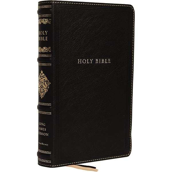 NRSVCE, Illustrated Catholic Bible, Leathersoft, Black, Comfort