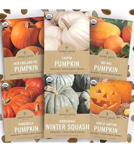 Amazon.com : Bulk Organic Pumpkin Seeds (10 Lb) : Patio, Lawn & Garden