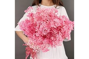 GLICRILI Large Package Pink Dried Babys Breath Flowers Bouquet, 17In 5000+ Dry Flowers, Natural Gypsophila for Wedding, Gift for Mom Friends, Dry Flowers Bulk for Vase, DIY Wreath Floral, Home Party (5.7Oz)