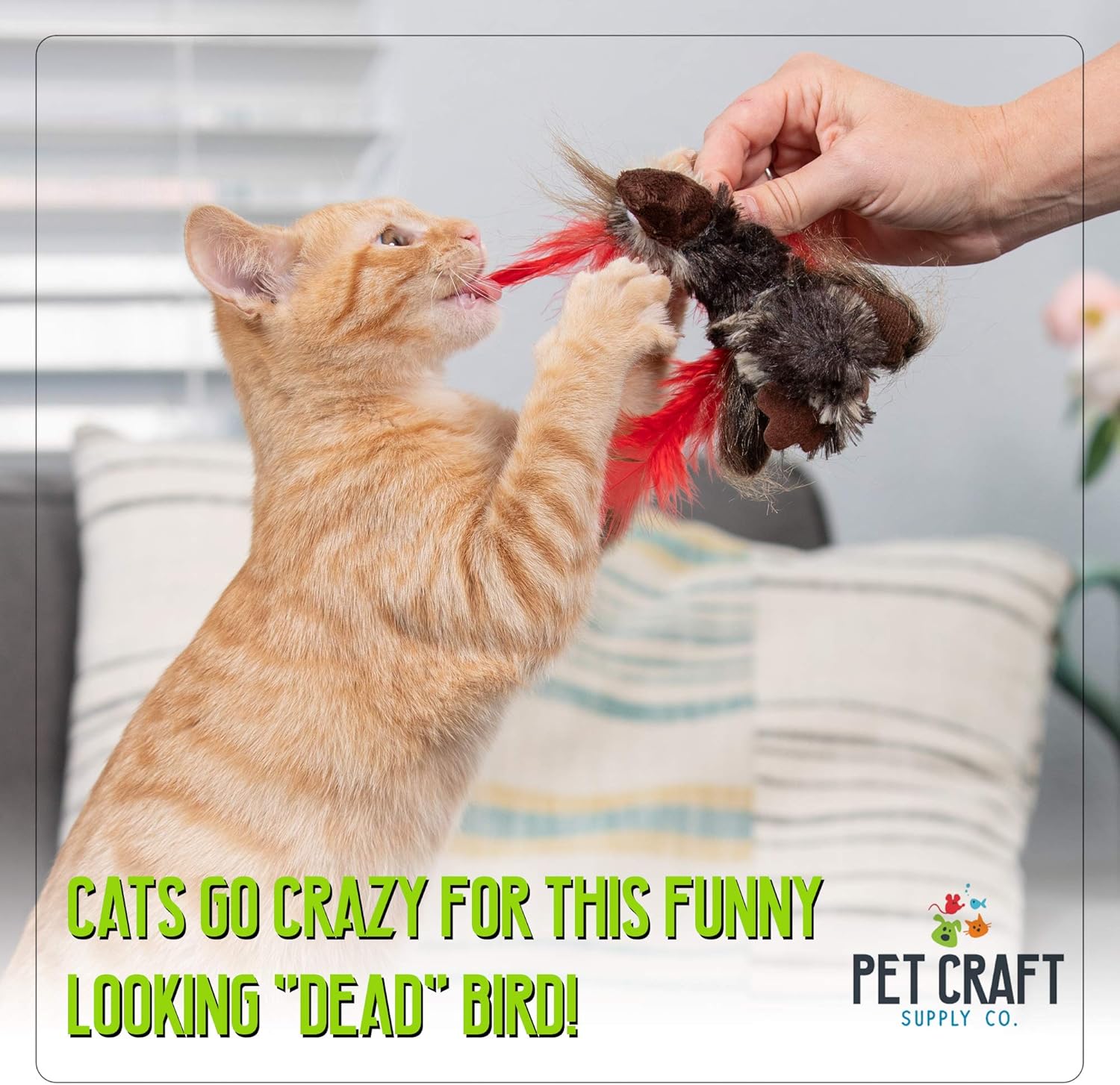 Pet Craft Supply Co. Funky Pheasant Crazy Catnip Cuddler Funny Cuddling Chasing Hunting Irresistible Stimulating Soft Plush Boredom Relief Interactive Cat Toy with Realistic Feathers : Pet Supplies