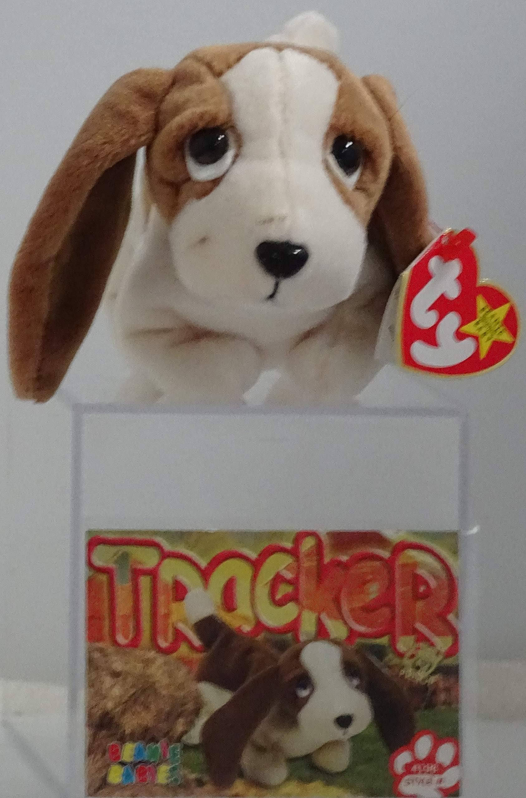 BEANIE BABIES Ty, Tracker The Basset Hound Dog