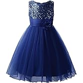 Uhnice Sequin Sleeveless Tulle Mesh Flower Girl Party Dress