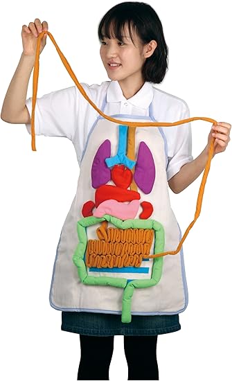 kids anatomy apron