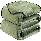 HOZY Soft Blanket Queen Size Fleece Warm Fuzzy Throw Blankets for The Bed Sofa Lightweight 350GSM Green 90"*90"