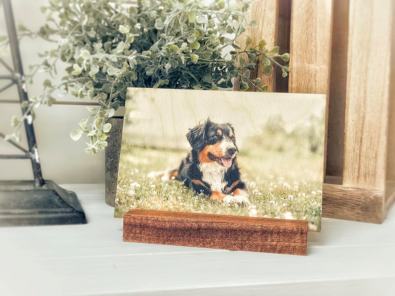 Photographs - DREAM BIG PRINTABLES Your Photo on Real Wood with a Stained Wood Stand (4x6 Landscape)