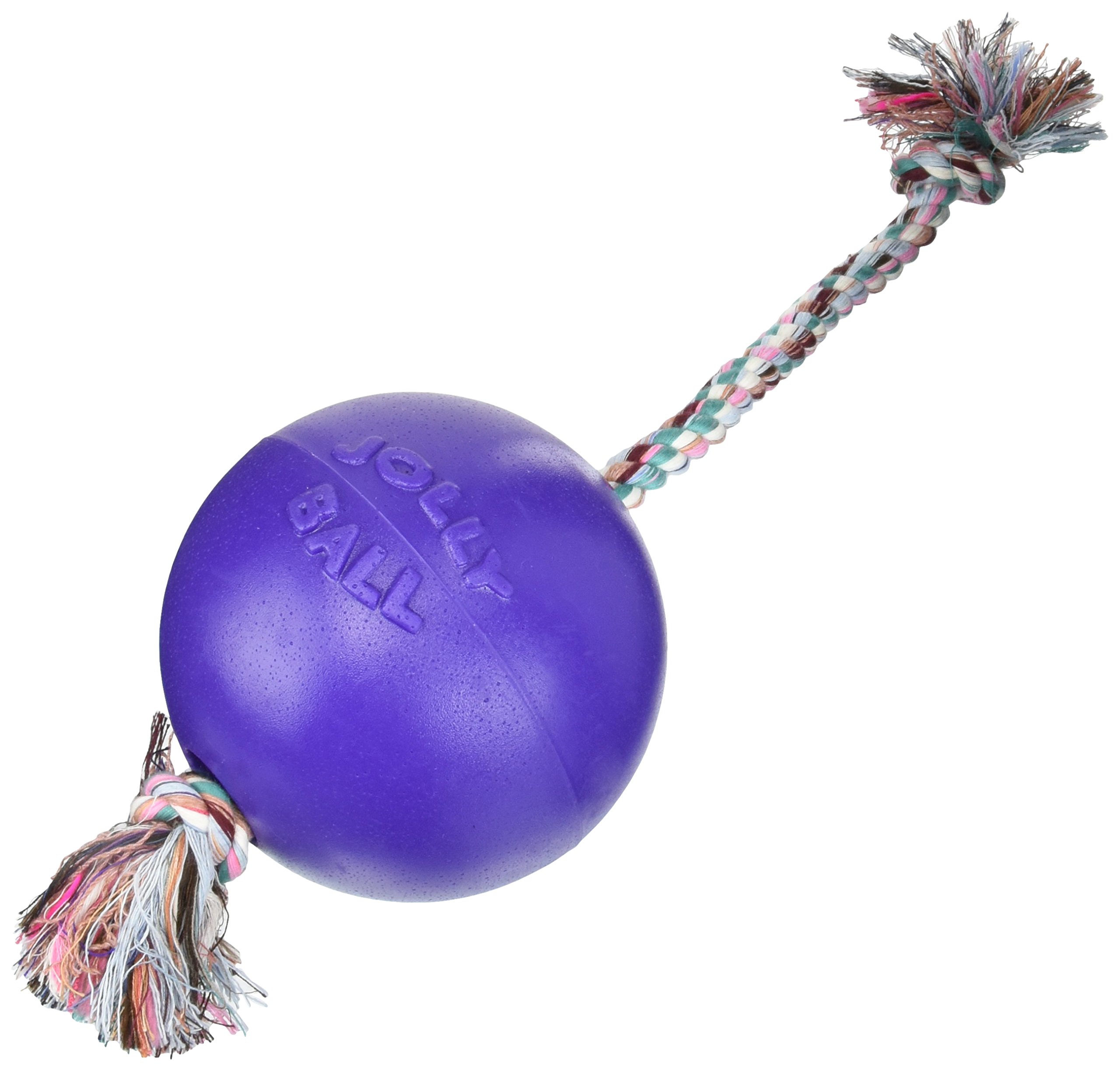 Jolly Pets Romp-N-Roll Ball